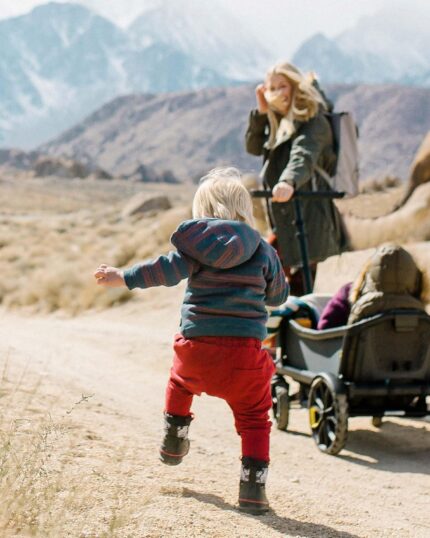 Veer Cruiser | Next Generation Premium Stroller Wagon Hybrid (EU)